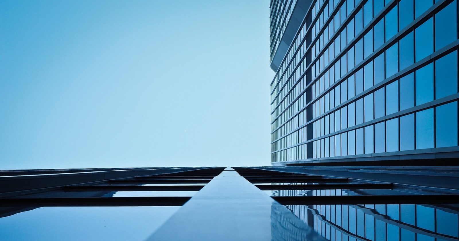 The Growth of Specialized Architectural Visualization Studios